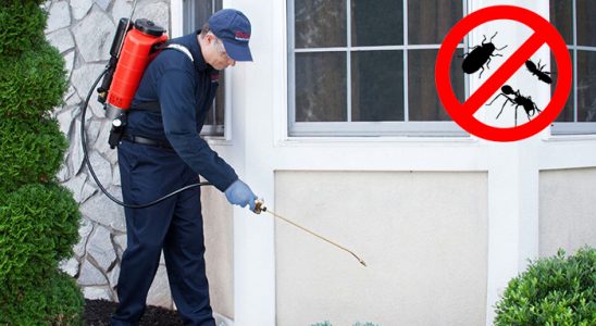 Kabataş Hamam Böceği İlaçlama böcek ilaçlama ve haşere kontrolü — ilaclama-tr.com